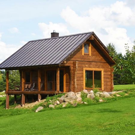Vip Forest dreams villa Anykščiai Extérieur photo