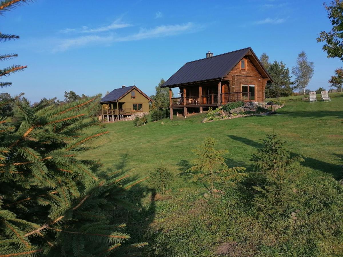 Vip Forest dreams villa Anykščiai Extérieur photo