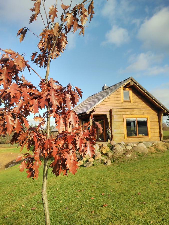 Vip Forest dreams villa Anykščiai Extérieur photo