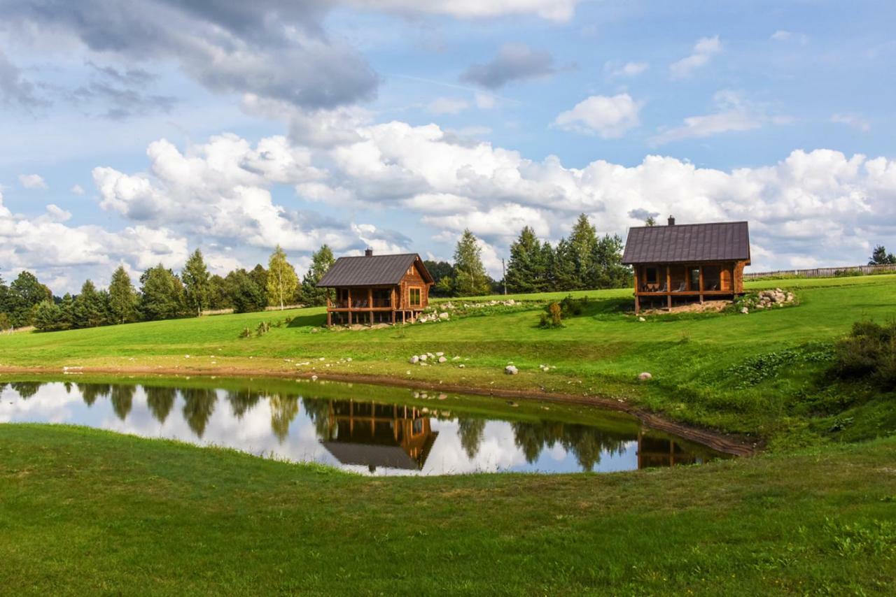 Vip Forest dreams villa Anykščiai Extérieur photo