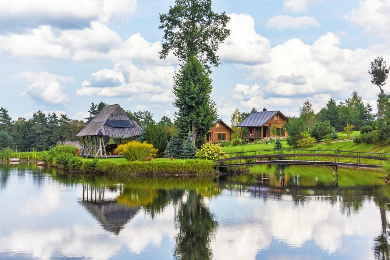 Vip Forest dreams villa Anykščiai Extérieur photo